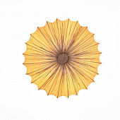 Thu, 28 Jan 2021 19:02:23 GMT