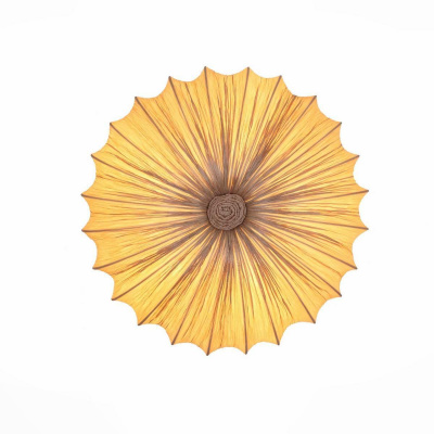 Потолочный светильник ST Luce Tessile SL351.072.05