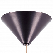 https://vokruglamp.ru/upload/iblock/747/c832549sjzh980fypb8lxdhy6ols6pe3/podvesnoy_svetodiodnyy_svetilnik_lightstar_cone_757011_1.jpeg