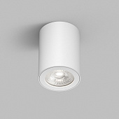 https://img.divine-light.ru/1/667/001667612_800_800.jpg