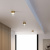 https://vokruglamp.ru/upload/iblock/9d6/vz5ng23ucxrt5tmie9yriqsgp7x2hnaf/potolochnyy_svetodiodnyy_svetilnik_elektrostandard_lumen_25047_led_10w_4000k_latun_prozrachnyy_a0647_2.jpeg
