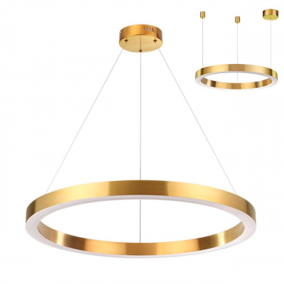 Подвесной светодиодный светильник Odeon Light L-vision Brizzi 3885/45LG