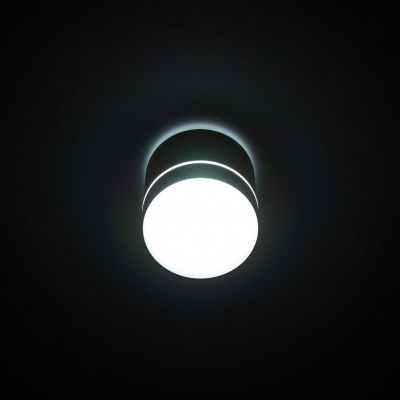 Потолочный светодиодный светильник Citilux Борн CL745020N