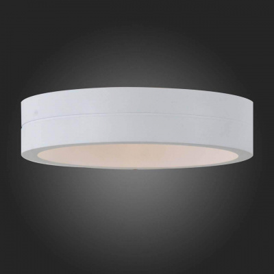 Уличный настенный светодиодный светильник ST Luce SL562.501.01
