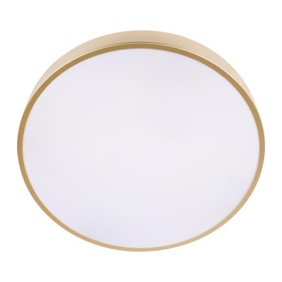 Потолочный светодиодный светильник Loft IT Flims 10228/A