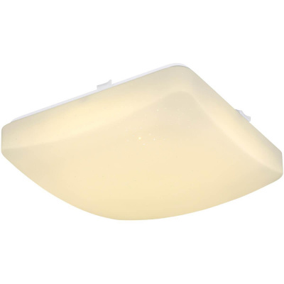 Потолочный светодиодный светильник Globo Atreju I 48364C