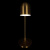 https://vokruglamp.ru/upload/iblock/19e/05i721c700srhbyxvl3csyckwysxpz0x/nastolnaya_lampa_loft_it_tango_10144_gold_2.jpeg