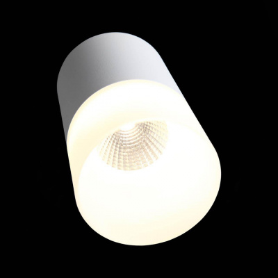 Потолочный светодиодный светильник ST Luce Ottu ST100.502.10