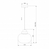 https://vokruglamp.ru/upload/iblock/92c/icckzmjailupoe5z3fenkmvb8er8nz52/podvesnoy_svetodiodnyy_svetilnik_eurosvet_jeffry_50241_1_led_prozrachnyy_1.jpeg
