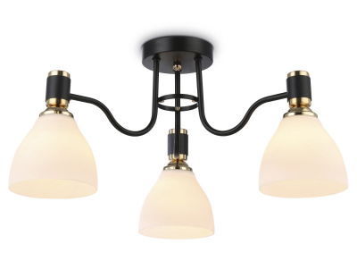 Накладной светильник Ambrella Light TR303303