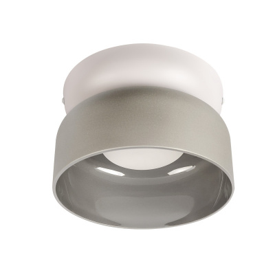 Накладной светильник LOFT IT 10466 Smoke matte