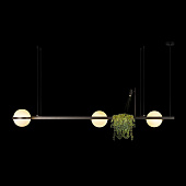 https://vokruglamp.ru/upload/iblock/431/4rx1plzz0o45sjcveslcz9hitkscrmv2/podvesnoy_svetodiodnyy_svetilnik_loft_it_jardin_10121_c_dark_grey_1.jpg