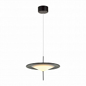 https://vokruglamp.ru/upload/iblock/f9b/kllnp8a0jyiua1dl6t5unqmurdlb9qla/podvesnoy_svetodiodnyy_svetilnik_odeon_light_steka_5012_16l_1.jpeg