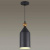 https://vokruglamp.ru/upload/iblock/5c1/dmcrsy5hc31qnn4sd028b8ijsx48uv4l/podvesnoy_svetilnik_odeon_light_pendant_bolli_4091_1_1.jpeg
