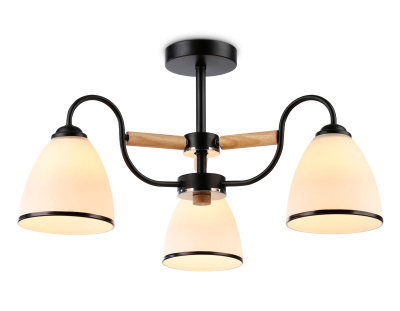 Накладной светильник Ambrella Light TR3033241