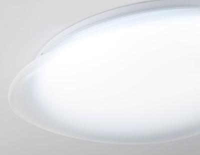 Накладной светильник Ambrella Light FZ1605