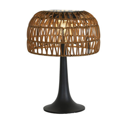 Настольная лампа Favourite 4833-1T