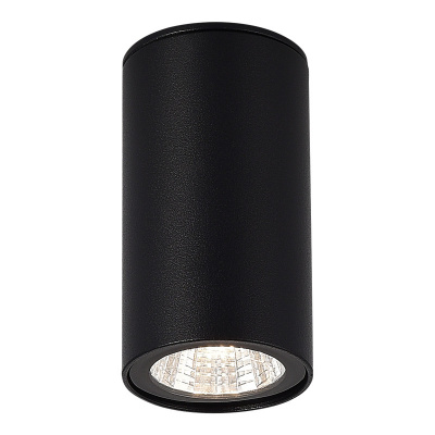 Накладной уличный светильник ST-Luce SL9514.402.01