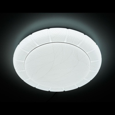 Потолочный светодиодный светильник Ambrella light Orbital Design F148 WH 96W D500