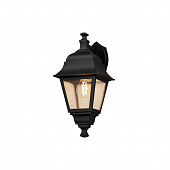 https://img.divine-light.ru/1/421/001421694_800_800.jpg