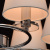 Потолочная люстра MW-Light Онтарио 1 692010106 Потолочная люстра MW-Light Онтарио 1 692010106
