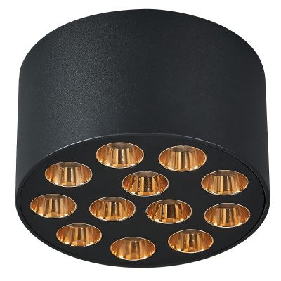 Накладной светильник Lightstar 080942