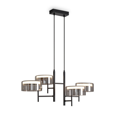 Подвесная люстра Freya FR5536PL-L14B