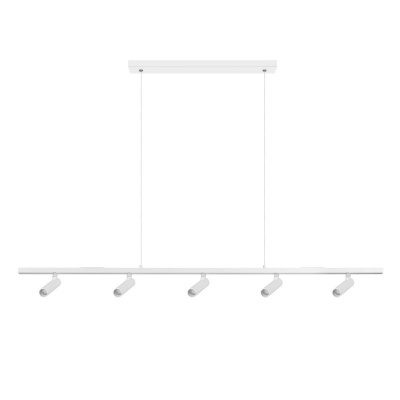 Спот LOFT IT 10260/5 White