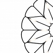 https://vokruglamp.ru/upload/iblock/8d6/2nq83enyz9rfvo5zjdn6rild1kd2b0zf/podvesnoy_svetodiodnyy_svetilnik_maytoni_volare_mod037pl_l16b_1.jpg