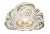 Встраиваемый светильник Arte Lamp Occhio A5285PL-1SG