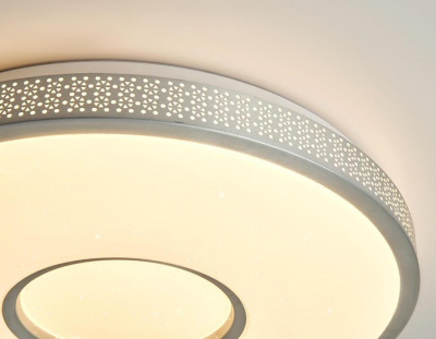 Потолочный светодиодный светильник Ambrella light Original Design FF81