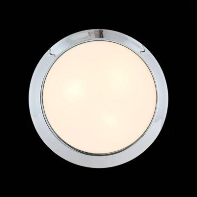 Потолочный светильник ST Luce Bagno SL469.502.02
